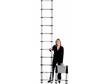 Telesteps Grade 1 telescoping extension ladder