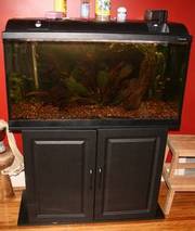 I am selling a complete ~50 Gallon Aquarium - perfect starter kit