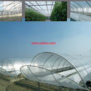 Ontario Greenhouse Clear 8mil Poly Plastic Covering					