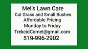 Grass Cutting